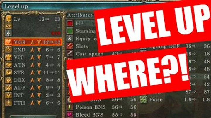How can I level up in Dark Souls 2?