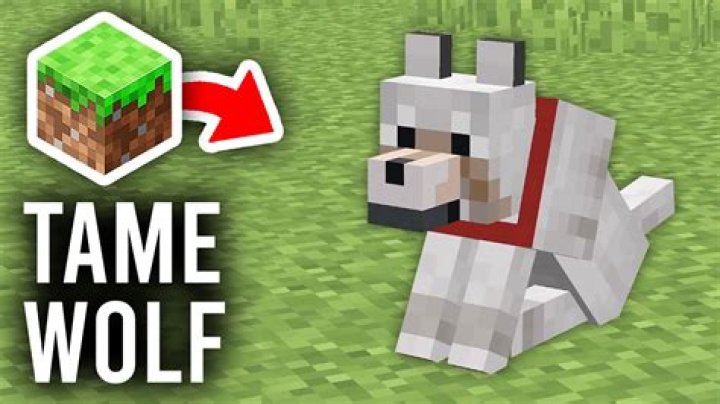 How can I make a wolf tamed by an arbitrary player using command blocks?