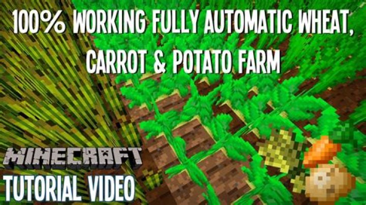 How can I make an automatic wheat/potato/carrot/beetroot farm? [closed]