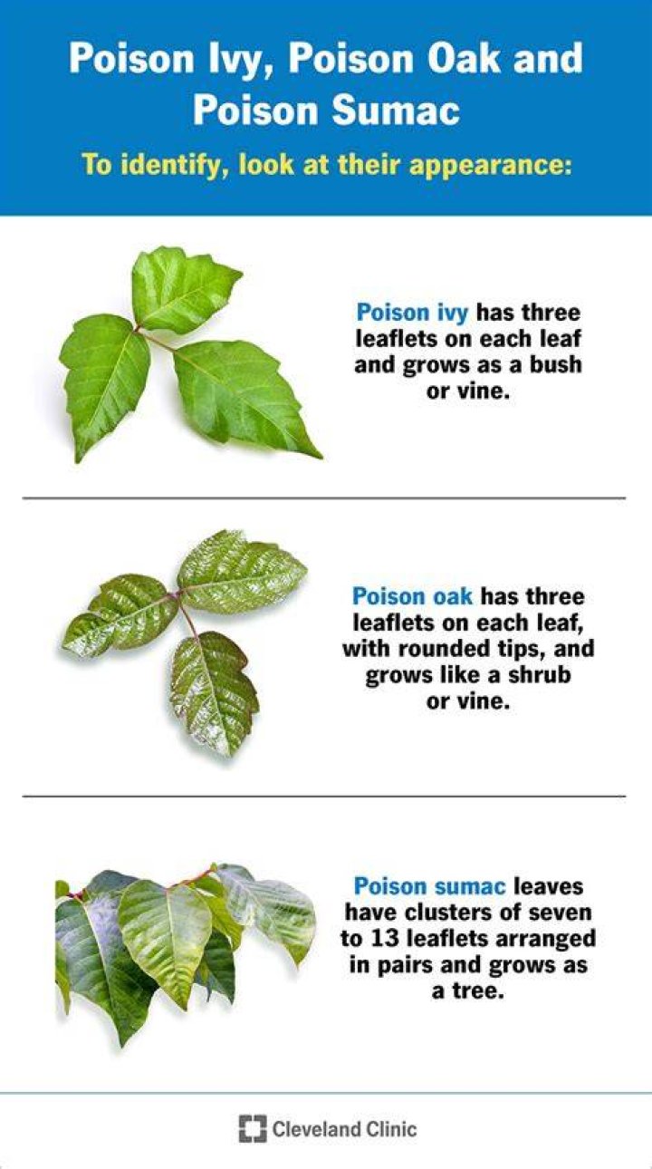 How can I poison myself?
