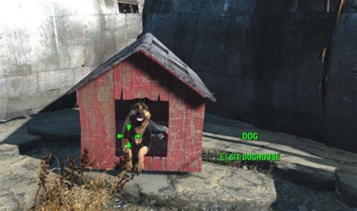 How can I stop Dogmeat from following me in Fallout 4?