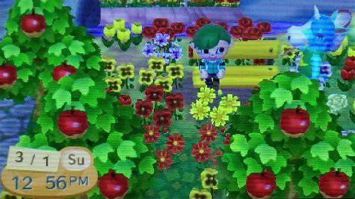 How can you unlock Cyrus in Animal Crossing New Leaf [duplicate]
