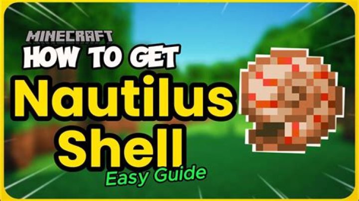 How could I make a spawn platform for wandering traders in order to get Nautilus shells?