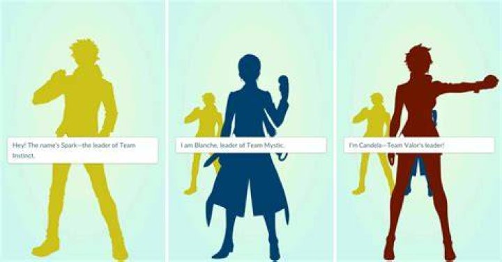 How do I add Pokemon to my team?