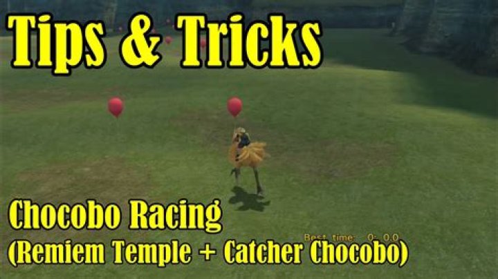 How do I Beat the Catcher Chocobo Race