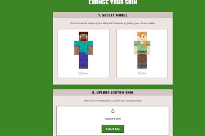 How do I change my skin?