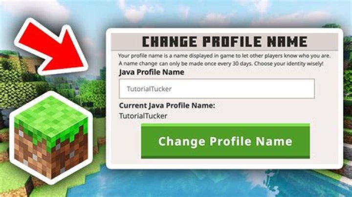 How do I change my username on Minecraft PE?