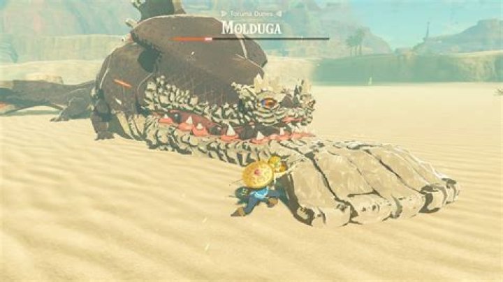 How do I defeat the Molduga