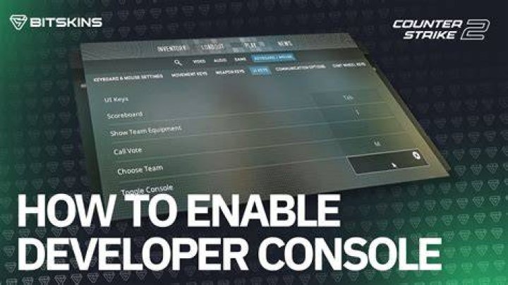 How do I enable the developer console?