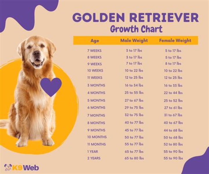 How do I get a Golden Heart, and what advantages do they have?