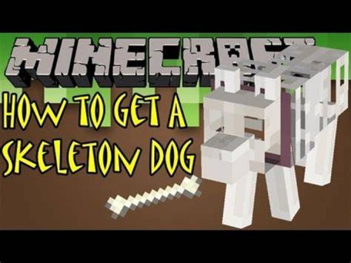 How do I get a skeleton dog?