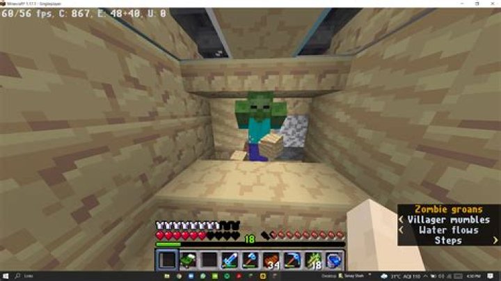 How do I keep a zombie from despawning, since nametags apparently aren't working for me?