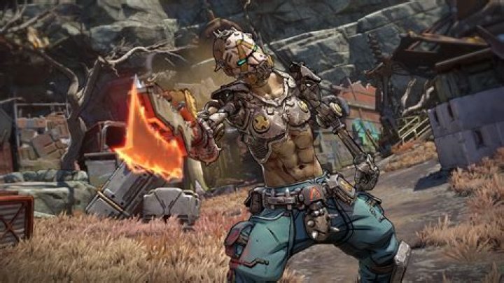 How do I play Borderlands via Hamachi?