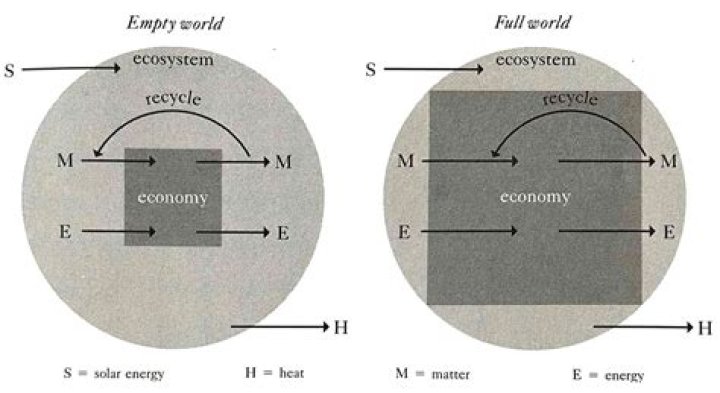 How do I stop building synthetic species in a full world?