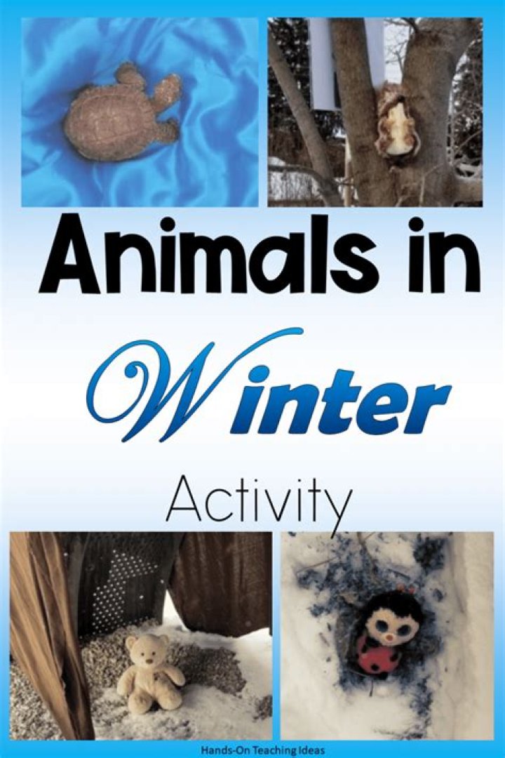How do I survive Winter?