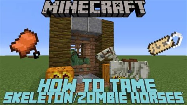How do I tame and ride the undead horses?