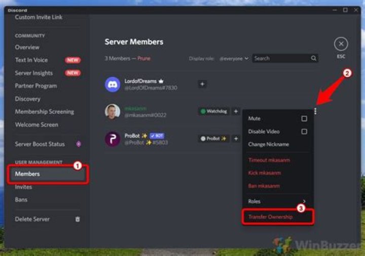 How do I transfer my character to another server?