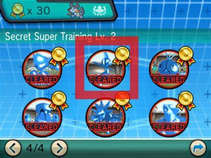 How do Secret Super Training Prizes get Rewarded?