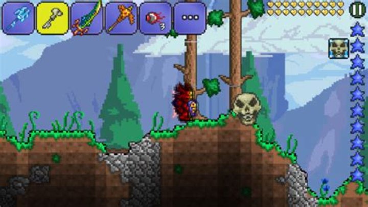 How do you beat the dungeon gurdian in Terraria mobile? If you can, what does it drop?