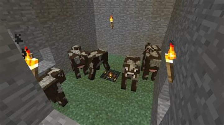 How do you make an animal spawner in Minecraft PE?