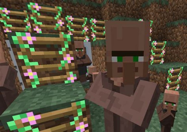 How do you tame a villager?