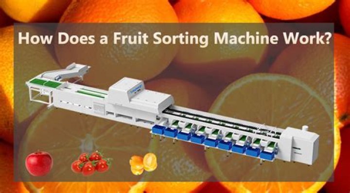 How does splitter sorting work?