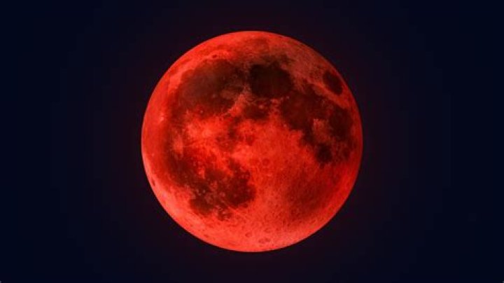 How long does it take a Blood Moon to show up and what respawns exactly after the event?