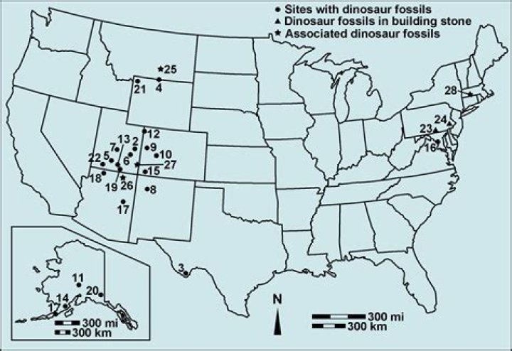How many fossils are going to be sent back from the Faraway Museum?