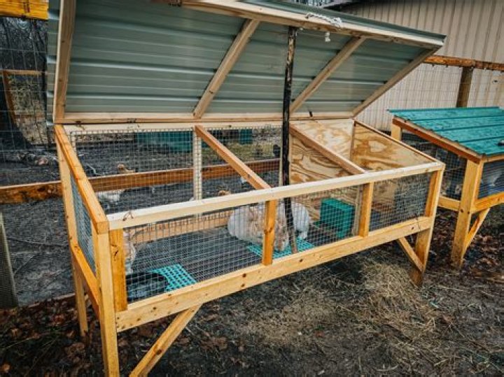 How many Rabbit Hutches can take on a Spider Den?