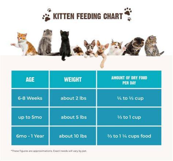 How much more CpS do kittens give?