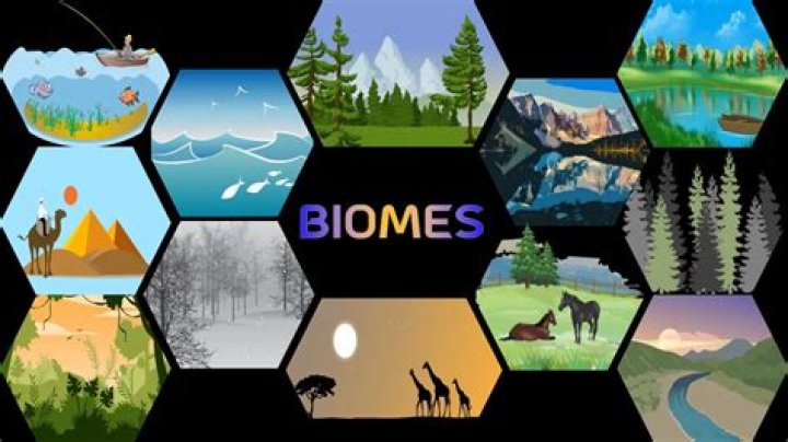 How the biome looks in the map