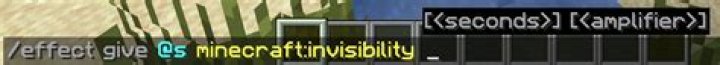 How to become invisible to opped members in minecraft?