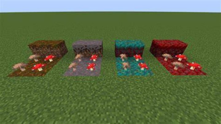 How to find mushrooms in Minecraft