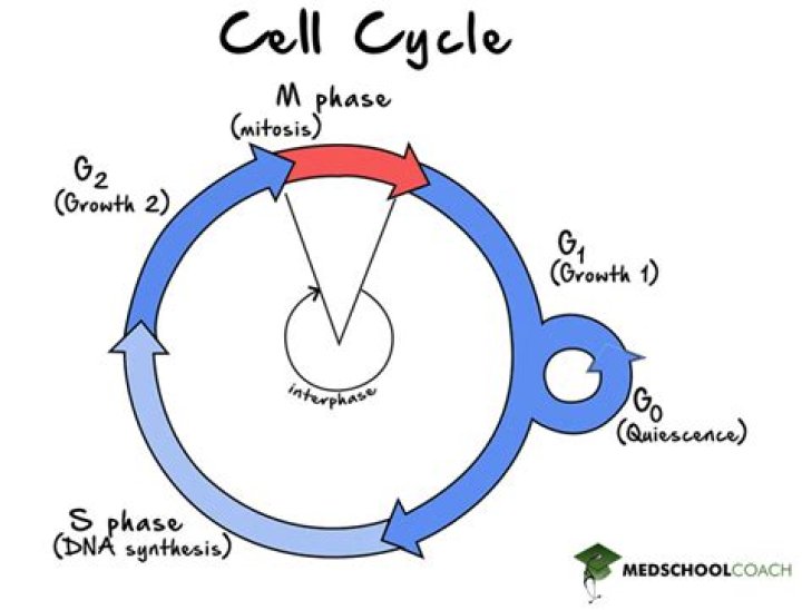 How to fix a cell that has tunnels?