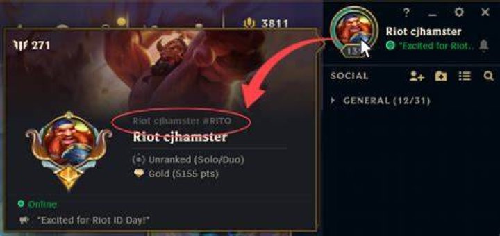 How to remove/hide this overlay Icon in League of Legends?