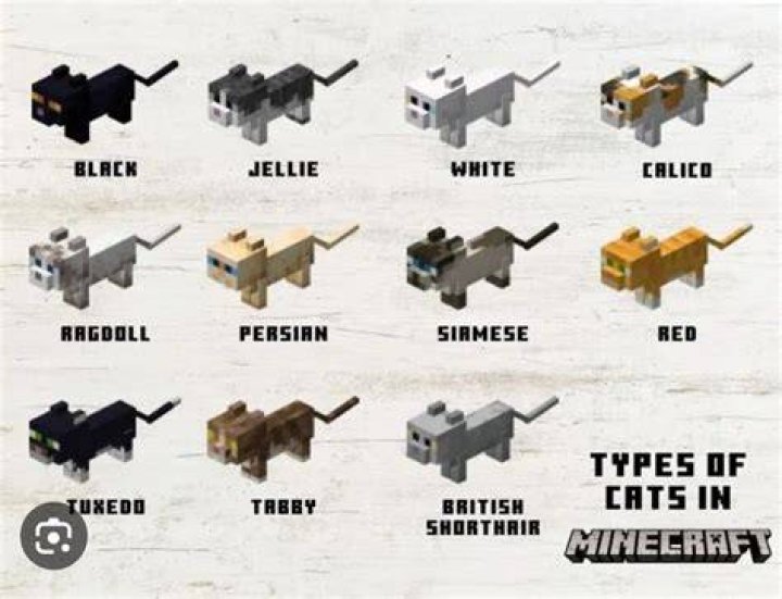 How to spawn different cat skins in minecraft?