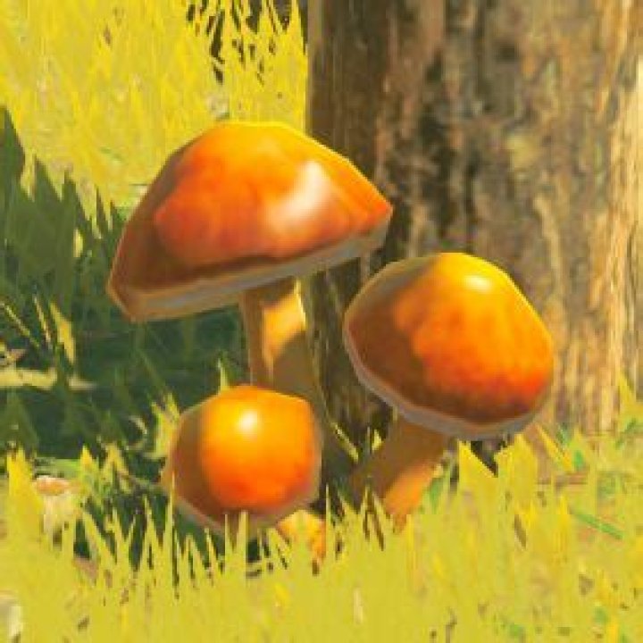 hyrule compendium sunshroom default (not available in-game)