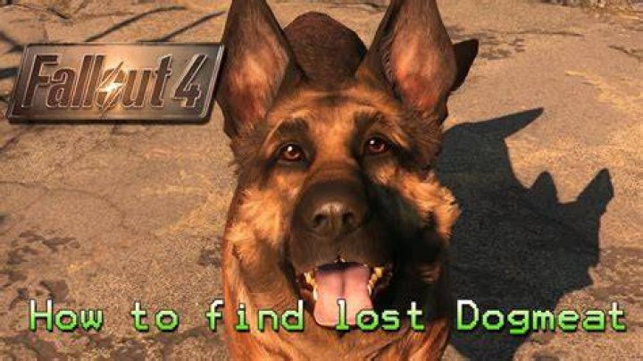 I've lost Dogmeat. Where/how can I get him back as a companion? [duplicate]