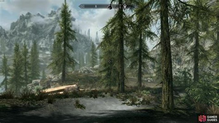 I can't buy land in Falkreath