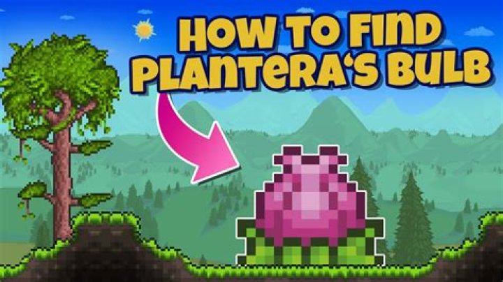 I can't find any plantera bulbs in terraria even though im on hardmode [duplicate]
