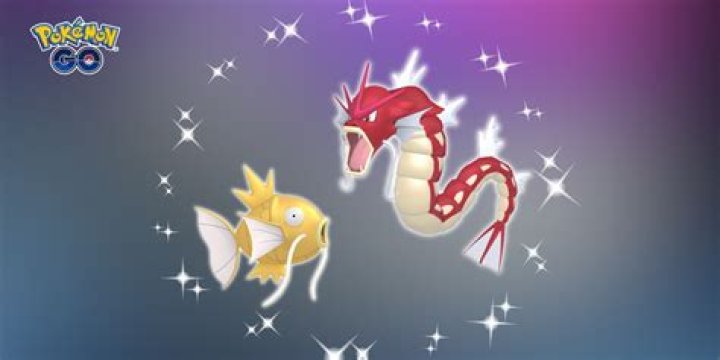 I ran out of attack PP in a battle with Magikarp, what can I do?