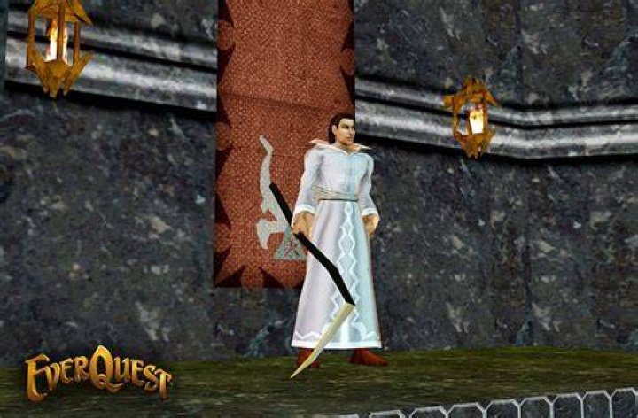 In EverQuest, what's a good class to team up with a Bard?