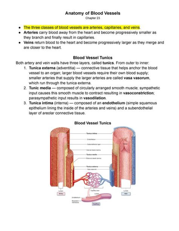 In-game description of a Blood Bag.