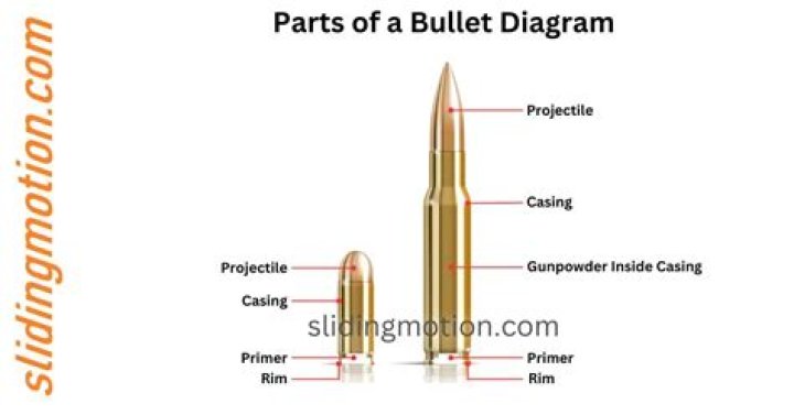 IS it possible to find the caped bullets at all, and unlock "The Bullet" with only the Robot's past completed. And no others finished yet? Thanks