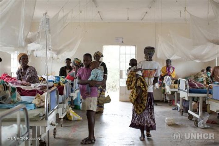 Is it possible to save the wounded Batarian in the refugee camp?