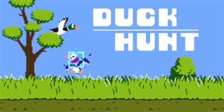 Is it possible to use the second controller to control the ducks in duckhunt?