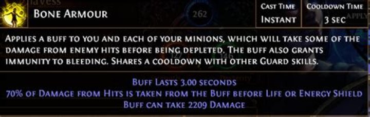 Is the Bone Armour skill from Bone Barrier ascendancy skill tagged as "minion"?