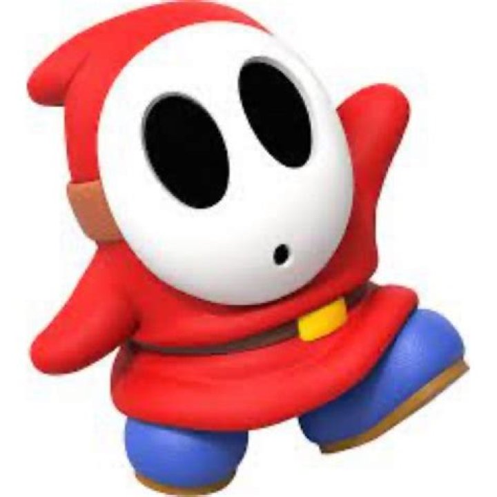 Is there a use for the code in W 5-1 Shy Guy Jungle?