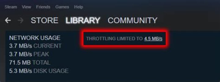 Is there a way to set a custom Steam Download speed?