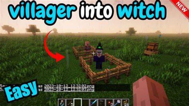 Is there a way to turn a witch into a villager?